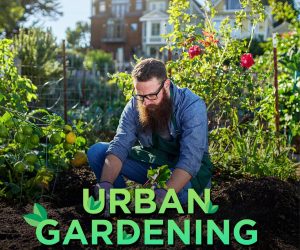 Urban Gardening 2025
