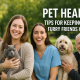 Pet Health