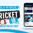 Online Cricket ID