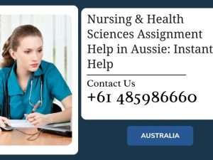 Assignment Help