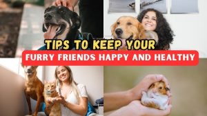 Pet Health