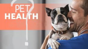 Pet Health