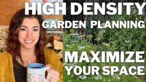 Home Gardening Ideas 2025