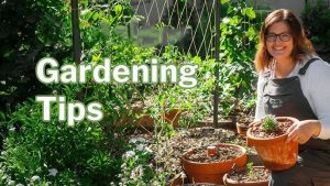 Sustainable Gardening Tips for Home Beginners 2025