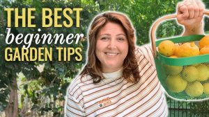 Sustainable Gardening Tips for Home Beginners 2025