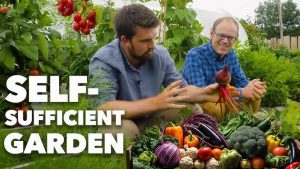 Sustainable Gardening Tips for Home Beginners 2025