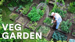 Urban Gardening 2025