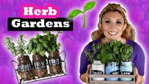 Vertical Herb Garden