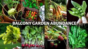 Compact Balcony Vegetable Patch