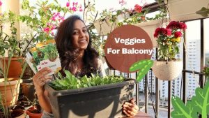 Compact Balcony Vegetable Patch