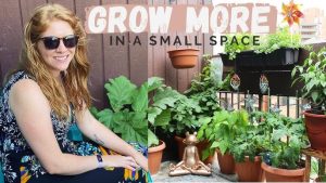 Compact Balcony Vegetable Patch