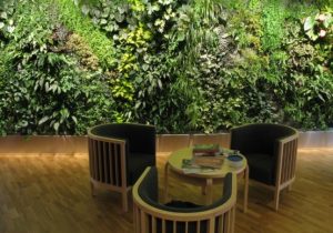 Vertical Indoor Gardens Transforming Small Home Spaces