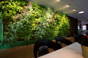 Vertical Indoor Gardens Transforming Small Home Spaces