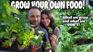 Home Gardening Ideas 2025