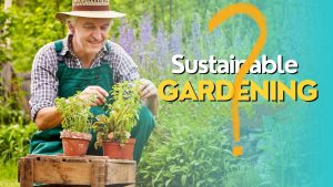 Sustainable Gardening Tips for Home Beginners 2025
