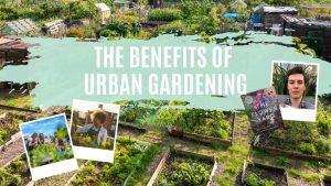 Urban Gardening 2025