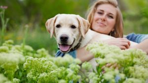 Pet Adoption Tips: Finding Your Perfect Companion for Life!!
