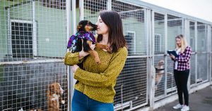 Pet Adoption Tips: Finding Your Perfect Companion for Life!!