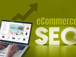 Ecommerce SEO Services