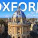 Search-First Brand in Oxford