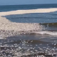 Texas Scrambles to Clean Coastline Amid Thousands of Dead Fish
