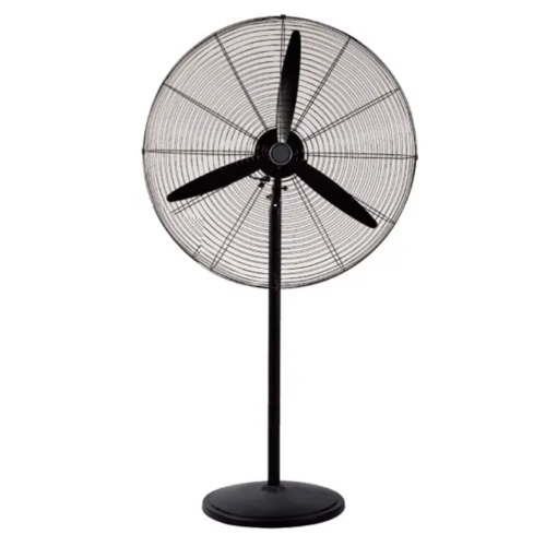buy pedestal fan