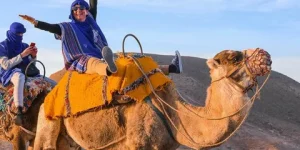 Sunset camel ride
