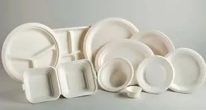 Compostable Plates