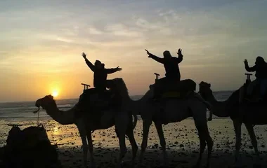 Sunset Camel Ride