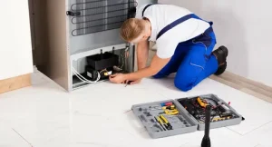 Fridge Repair