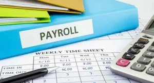 Payroll Service In India