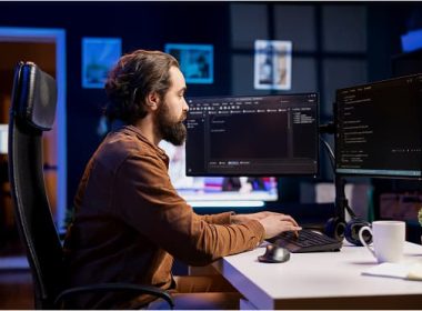 WordPress Developer