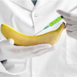 Penile Filler